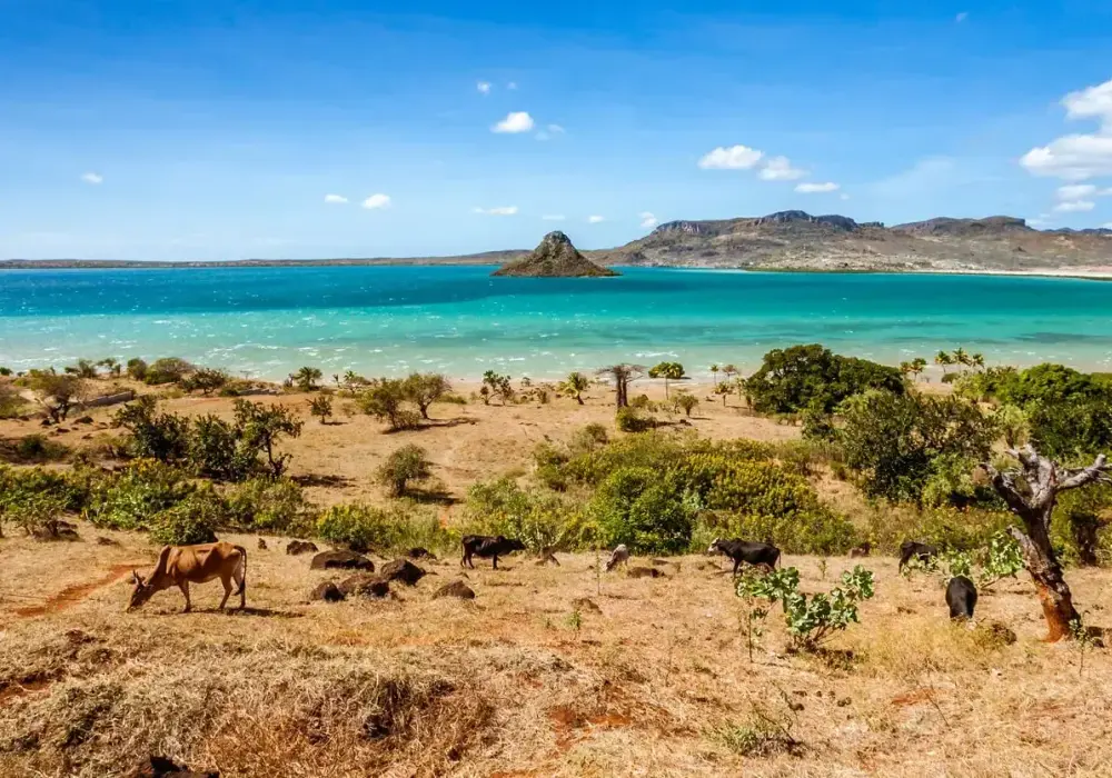 Madagaskar kiedy jechać: najlepszy czas na niezapomnianą podróż
