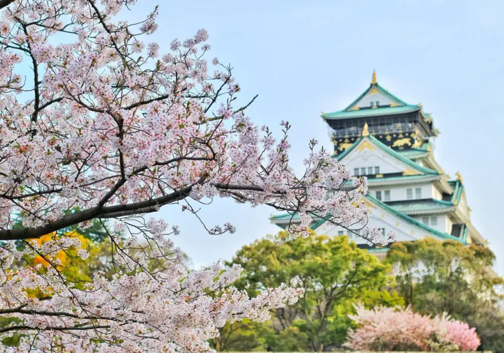 Kiedy do Japonii - Jak wybrać idealny termin na wyjazd?