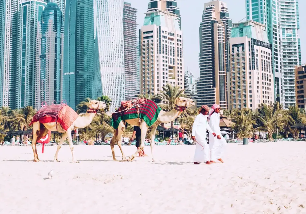 Ile trwa lot do Dubaju? Sprawdź czasy lotów z Polski i porównaj opcje
