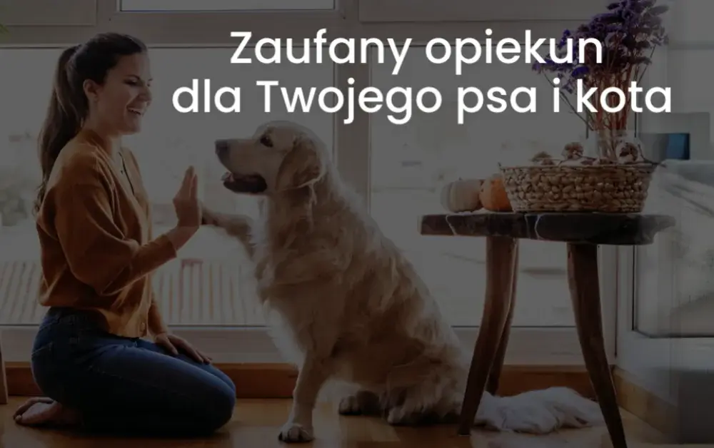 Jak przewieźć psa do Niemiec bez stresu i zbędnych formalności