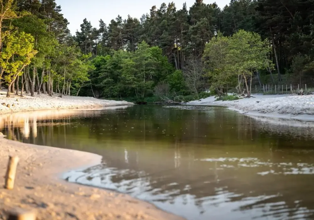 Atrakcje jeziora Żarnowieckiego: najlepsze miejsca na relaks i zabawę