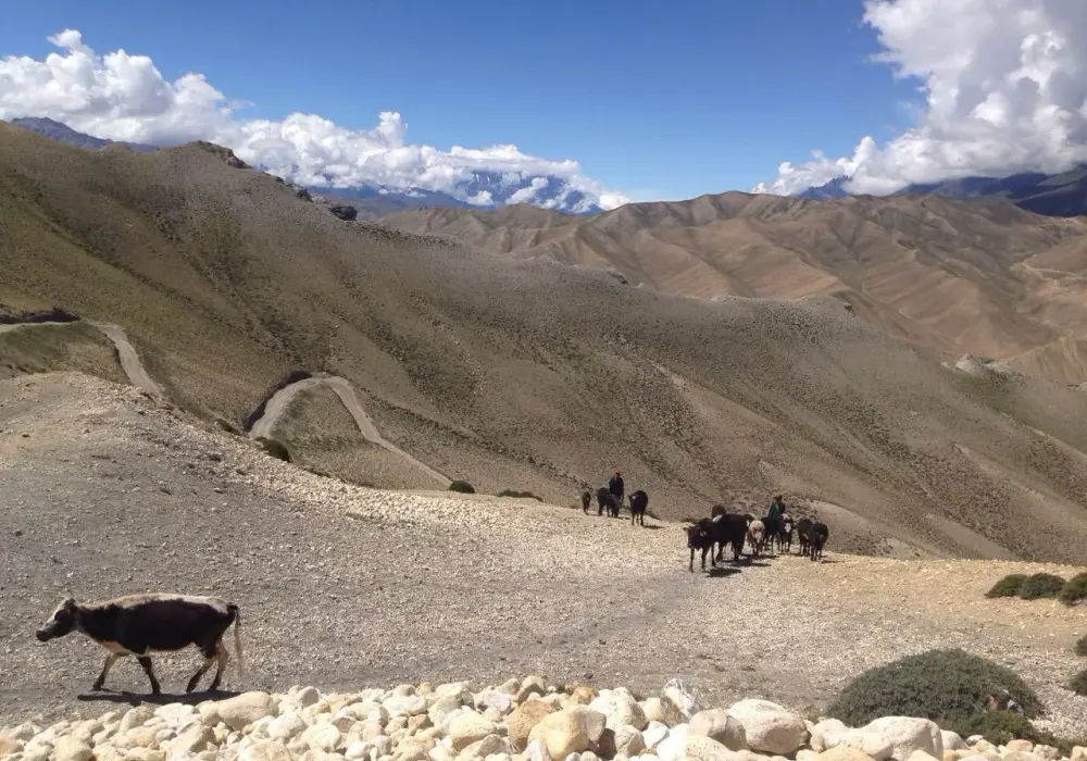 Kiedy jechać do Nepalu? Najlepszy czas na trekking i zwiedzanie