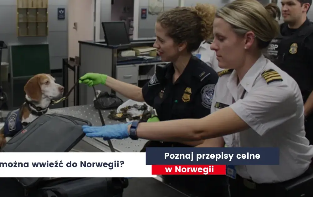 Co można przewieźć w bagażu podręcznym do Norwegii? Oto zasady