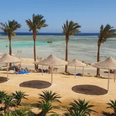 Piękna plaża z palmami i turkusową wodą. Czy w Grecji jest drogo? Ten widok sugeruje, że wakacje marzeń są na wyciągnięcie ręki.