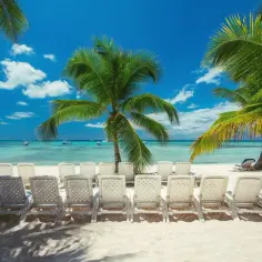 Plaża z palmami i leżakami, idealne miejsce na wakacje. Zastanawiasz się, ile się leci na Dominikanę? Tu poczujesz się jak w raju!