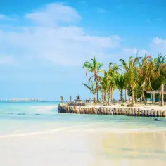 Piękna plaża z palmami i turkusową wodą. Marzysz o podróży? Sprawdź, ile się leci na Zanzibar!