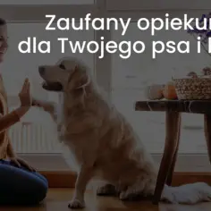 Jak przewieźć psa do Niemiec bez stresu i zbędnych formalności
