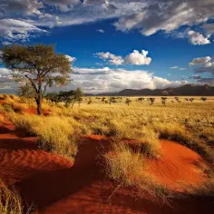 Namibia kiedy jechać: najlepszy czas na niezapomnianą podróż