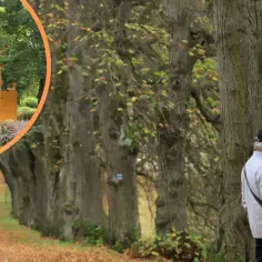 Przerzeczyn Zdrój atrakcje - odkryj ukryte skarby uzdrowiska