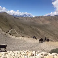 Kiedy jechać do Nepalu? Najlepszy czas na trekking i zwiedzanie