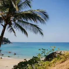 Tropikalna plaża z palmą i turkusowym morzem. Idealne miejsce na wakacje, zastanawiasz się, ile trwa lot do Tajlandii?