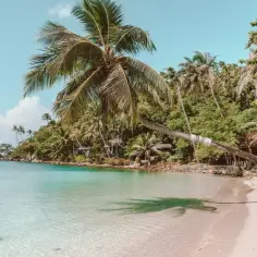 Rajska plaża z palmami i turkusową wodą. Idealne miejsce, by zapomnieć, ile się leci do Tajlandii.