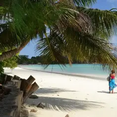 Rajska plaża z palmami, turkusową wodą i dwoma turystami. Tak właśnie wyglądają Seszele, gdzie leżą te rajskie wyspy.