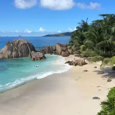 Rajska plaża na Seszelach z turkusową wodą i palmami. Zastanawiasz się, ile trwa lot na Seszele z Warszawy, by tu dotrzeć?