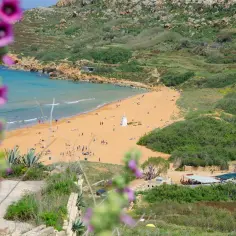 Malta w kwietniu zachwyca słoneczną pogodą. Złocista plaża, turkusowe morze i kwitnące kwiaty tworzą idylliczny krajobraz.