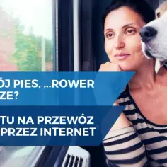 Jak kupić bilet na rower w Intercity bez zbędnych problemów?