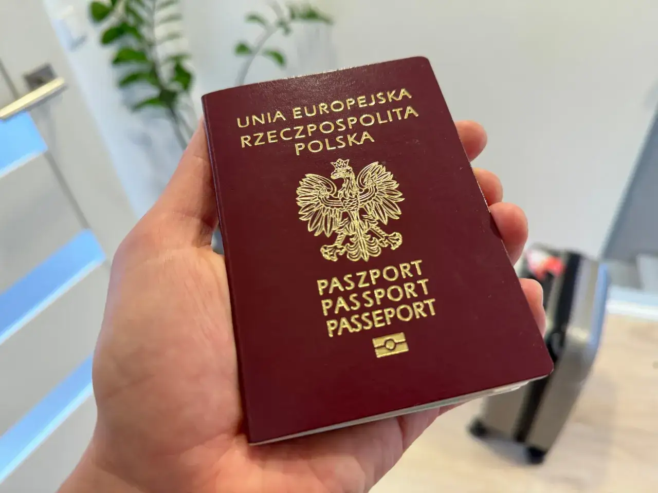 Polski paszport w dłoni, gotowy na podróż do USA. Marzenia o wizie do USA stają się rzeczywistością.