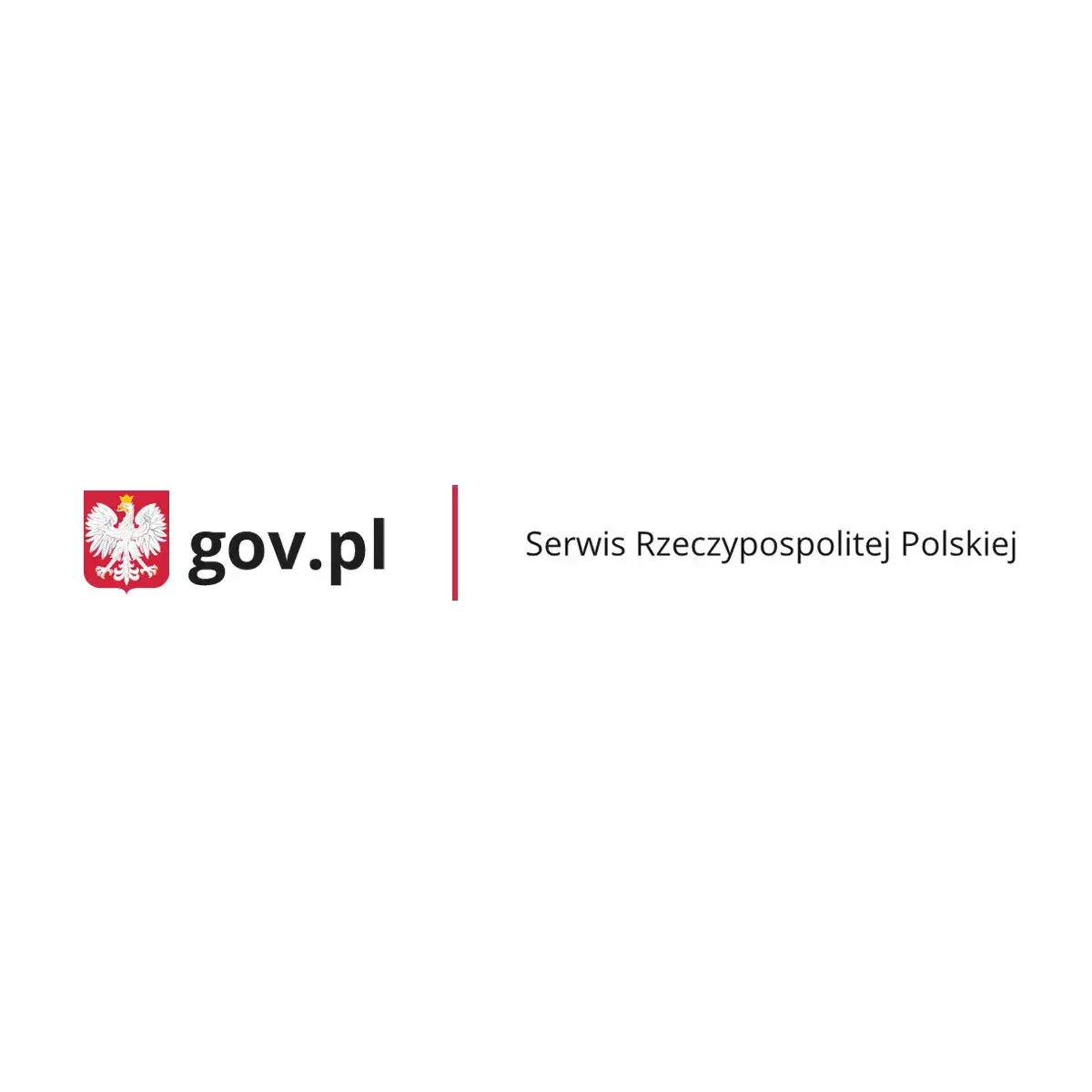 Zdjęcie Jak przewieźć kota z Grecji do Polski bez zbędnych problemów?