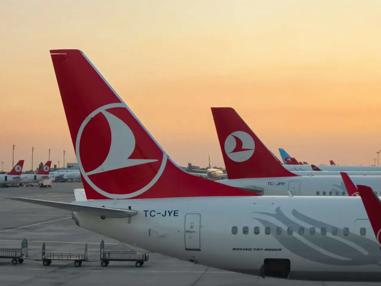 Samoloty Turkish Airlines na lotnisku. W tle widać wózki bagażowe i zachodzące słońce.