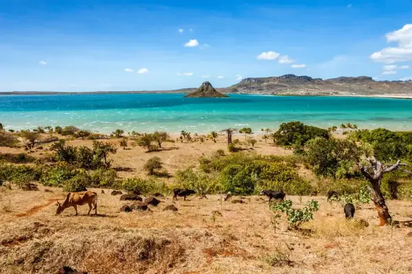Madagaskar kiedy jechać: najlepszy czas na niezapomnianą podróż