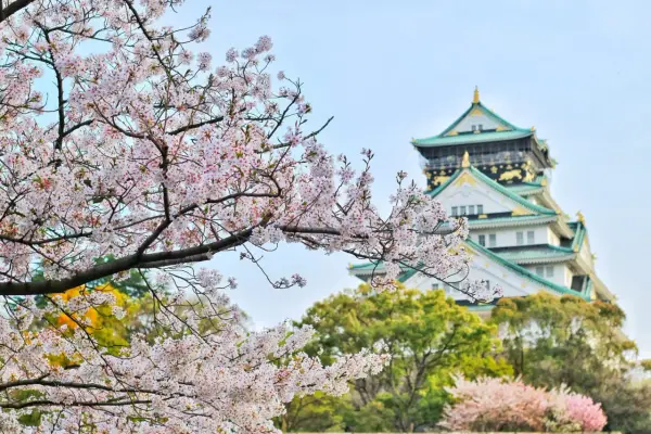 Kiedy do Japonii - Jak wybrać idealny termin na wyjazd?