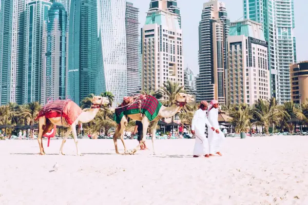 Ile trwa lot do Dubaju? Sprawdź czasy lotów z Polski i porównaj opcje