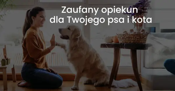 Jak przewieźć psa do Niemiec bez stresu i zbędnych formalności