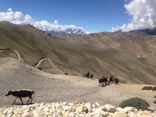 Kiedy jechać do Nepalu? Najlepszy czas na trekking i zwiedzanie